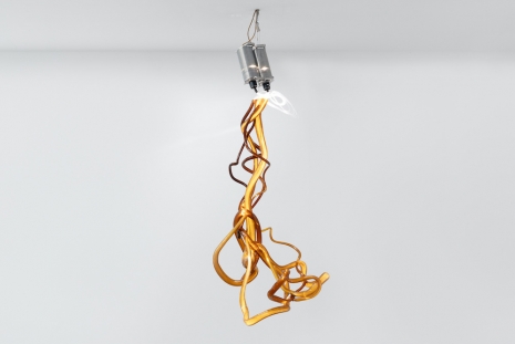 Allora & Calzadilla, Lightbound, 2025 , Galerie Chantal Crousel