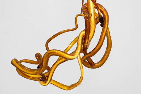 Allora & Calzadilla, Lightbound, 2025 , Galerie Chantal Crousel