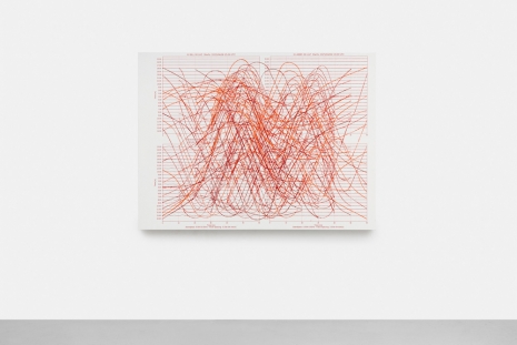 Allora & Calzadilla, Pulse, 2025, Galerie Chantal Crousel