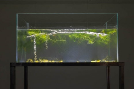 Evian Wenyi Zhang, Mirror with dragon, 2025, Pedro Cera