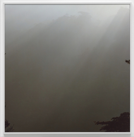 Daniel Gustav Cramer, Untitled (Woodland) IV, 2025, Sies + Höke Galerie