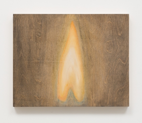 Fabrice Samyn, Untitled, 14 Feb 2017, 2017, Sies + Höke Galerie