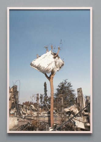 Julius von Bismarck, Untitled F2261, 2025 , Sies + Höke Galerie