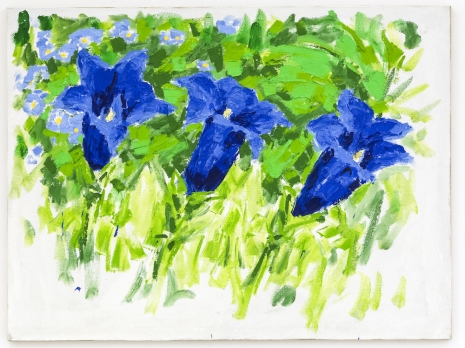 Christian Lindow, Ohne Titel (Drei Enziane), 1988 , Mai 36 Galerie