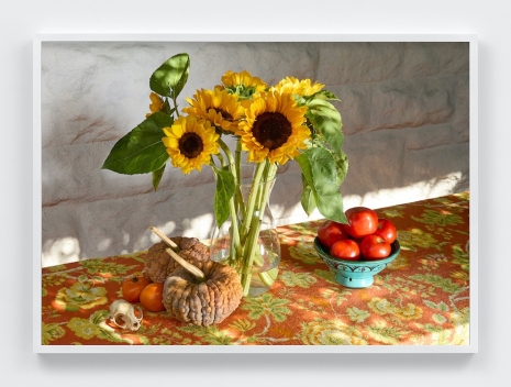 Roe Ethridge, Still Life at Cecilia and David's, 2024 , Mai 36 Galerie