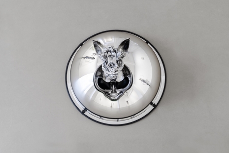 David Douard, EYES WIDE OPEN, 2025, Galerie Chantal Crousel