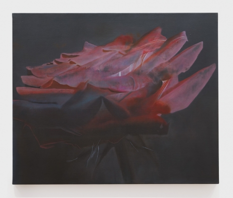 Xie Qi, A minor shipwreck, 2025, Perrotin