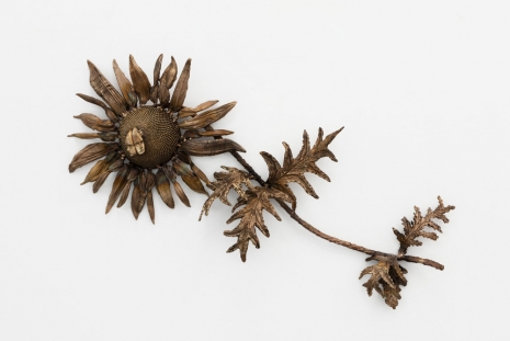 Jean-Marie Appriou, Mitose solaire (Chloris rêvée), 2025, Perrotin