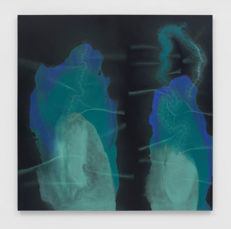 Shirazeh Houshiary , Cicada, 2023 , Lisson Gallery