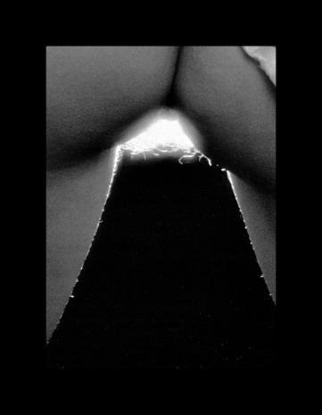 Eline Mugaas , Go Gray Gracefully IV, 2017/2023 , Galleri Riis