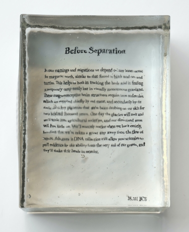 Seth Price, Before Separation, 2024 , Galerie Gisela Capitain