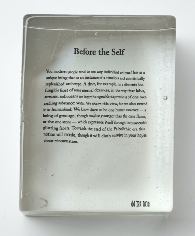 Seth Price, Before the Self, 2024 , Galerie Gisela Capitain