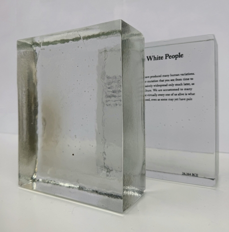 Seth Price, Before White People, 2024 , Galerie Gisela Capitain