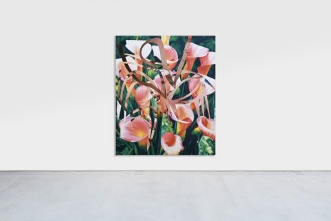 James Rosenquist, Untitled, 1990 , Galerie Mitterrand