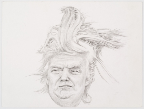 Jim Shaw, Trump Hair Study, 2017, Loevenbruck