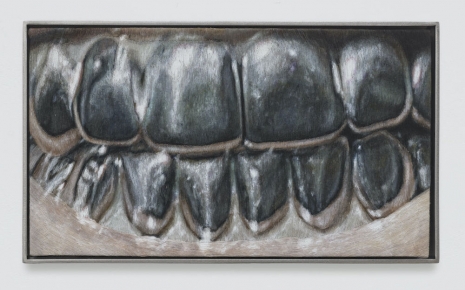 Klára Hosnedlová, Grillz, 2025 , White Cube