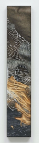 Klára Hosnedlová, Shared Fire, 2025 , White Cube