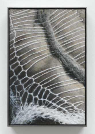 Klára Hosnedlová, Threads, 2025 , White Cube