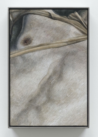 Klára Hosnedlová, Under the Skin, 2025 , White Cube