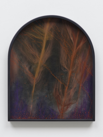 Marguerite Humeau, Limenescence: the quiet resolve to metabolise on the brink, living with just enough light, like root tips and algae at the cave’s mouth - making life from scarcity, 2025 , White Cube