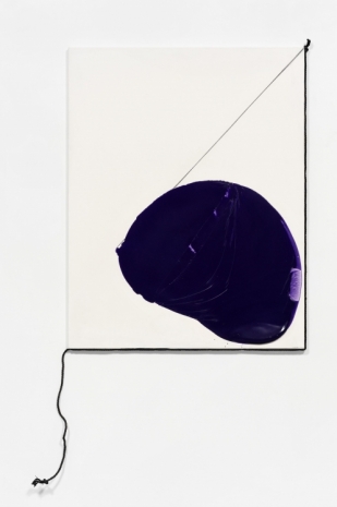 Takesada Matsutani, Propagation 25-A 繁殖25の A, 2025 , Hauser & Wirth