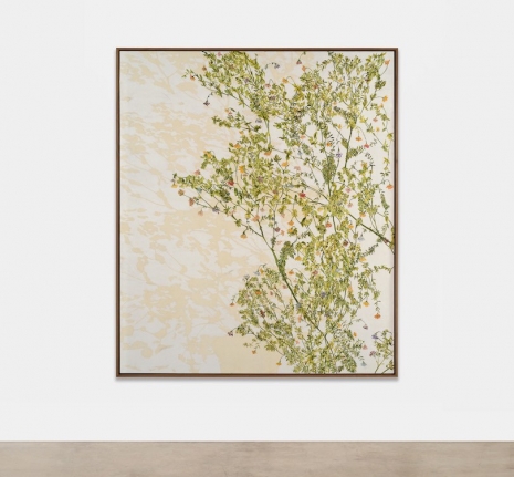 Hugo McCloud , sketches of spain, 2025 , Sean Kelly