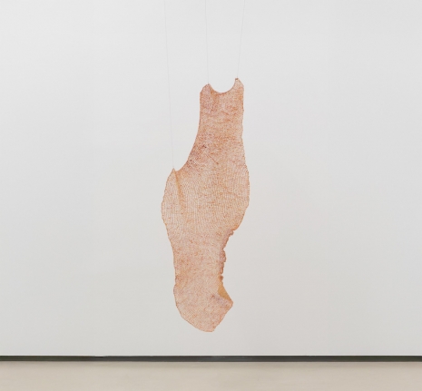 Sofía Fernández Díaz , membrana, 2025 , Sean Kelly