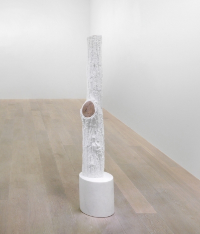 Giuseppe Penone , Indistinti confini (Aciris), 2012 , Cardi Gallery