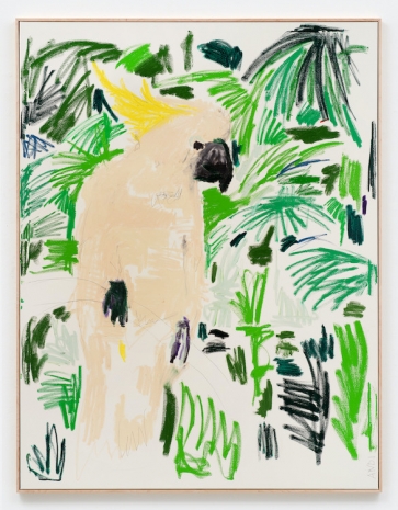 Andi Fischer, KAKADU ERBLICKT, 2025 , Sies + Höke Galerie