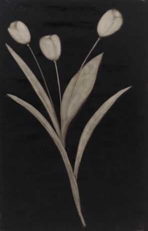 Joe Andoe , Untitled (10/3/25), 2025 , Almine Rech