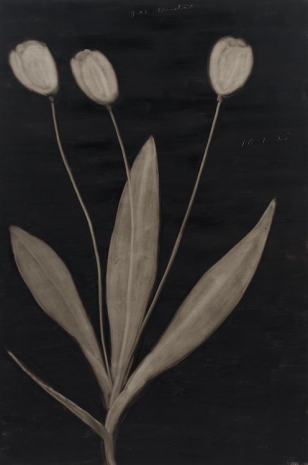 Joe Andoe , Untitled (10/7/25), 2025 , Almine Rech