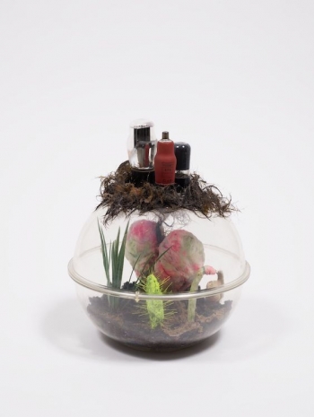 Tetsumi Kudo, Cultivation of Nature & People Who Are Looking at It, 1970-1971 , Hauser & Wirth