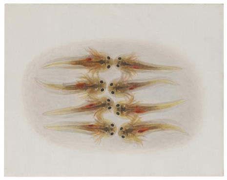 Melanie Smith, Axolotl 5, 2024 , Galerie Peter Kilchmann