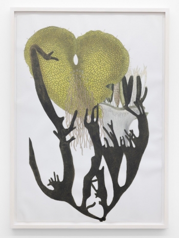 Melanie Smith, Sublime Meditations 43, 2024 , Galerie Peter Kilchmann