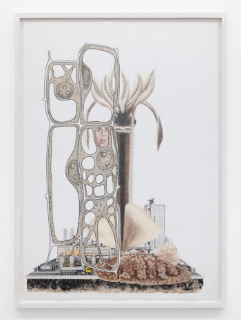 Melanie Smith, Sublime Meditations 45, 2024 , Galerie Peter Kilchmann