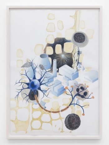 Melanie Smith, Sublime Meditations 46, 2024 , Galerie Peter Kilchmann