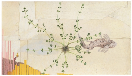 Melanie Smith, Animation drawing for Axolotl 1, 2025 , Galerie Peter Kilchmann