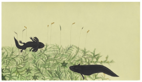 Melanie Smith, Animation drawing for Axolotl 4, 2025 , Galerie Peter Kilchmann