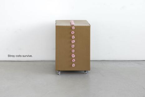 Gina Folly , Stray cats survive., 2025 , Capitain Petzel