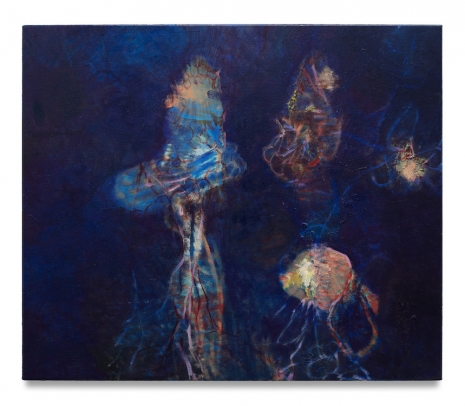 William Gaucher , The Fish’s Brain Is Not Large, But His Thoughts Are Deep, 2025 , Capitain Petzel