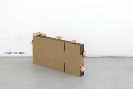 Gina Folly , Forget nostalgia., 2025 , Capitain Petzel