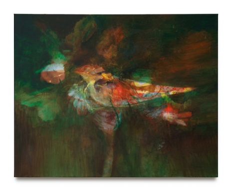 William Gaucher , Sparrow, 2025 , Capitain Petzel