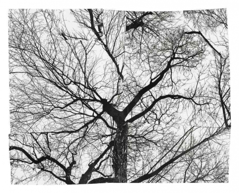 Sterling Ruby, SPLITTING (9091), 2025 , Sprüth Magers