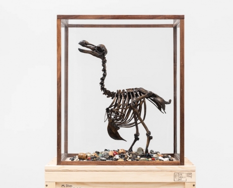 Mark Dion, , , Tanya Bonakdar Gallery