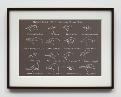 Mark Dion, Notable Bird Beaks of American Museum History, 2020 , Tanya Bonakdar Gallery