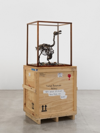 Mark Dion, The Anatomy of Melancholy - Dodo, 2021 , Tanya Bonakdar Gallery