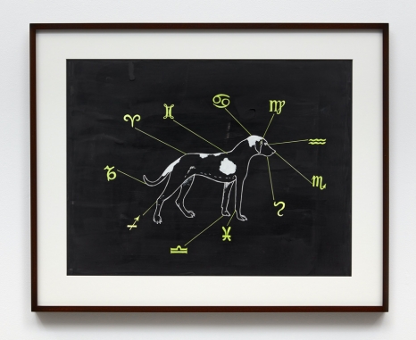 Mark Dion, Zodiac, 2021 , Tanya Bonakdar Gallery