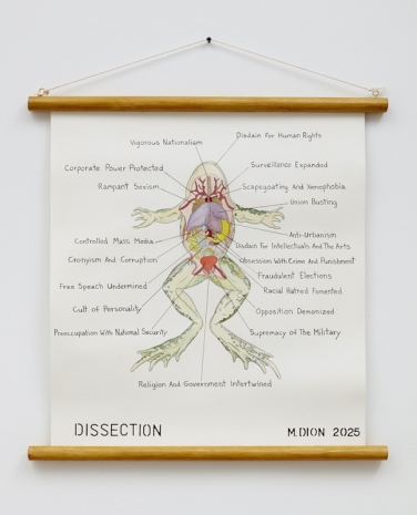 Mark Dion, Dissection, 2025 , Tanya Bonakdar Gallery