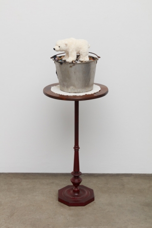 Mark Dion, The Polar Bear, 2026 , Tanya Bonakdar Gallery