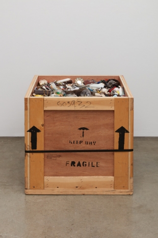 Mark Dion, The Collector in Repose, 2026 , Tanya Bonakdar Gallery